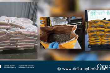 Border officials make major drug seizures in Delta - Delta Optimist