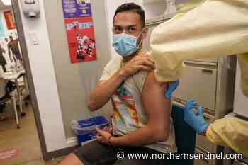 WHO: Monkeypox cases drop 21%, reversing month-long increase - Kitimat Northern Sentinel