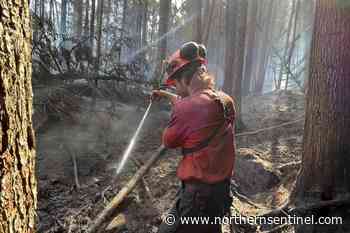 B.C. wildfires: Fires of note set to reduce to 3 - Kitimat Northern Sentinel