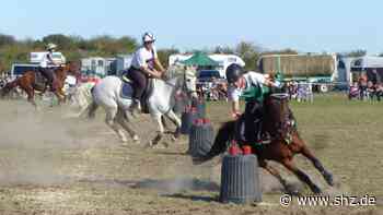 Mounted Games in Tornesch: Ahrenloher Reit- und Fahrverein lädt zu den Ponyspielen - shz.de