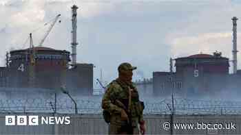Zaporizhzhia: Occupied nuclear plant briefly disconnected from grid - Ukraine