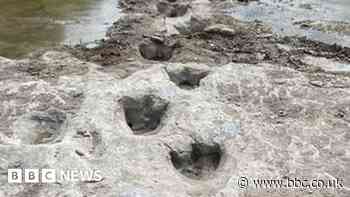 Dinosaur tracks from 113m years ago exposed by severe drought