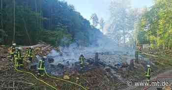 Schon wieder Flammen: Wald bei Stemwede brennt - Mindener Tageblatt