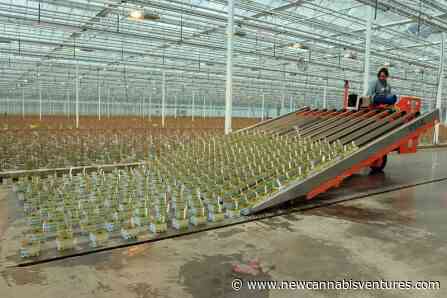 Aurora Cannabis Invests C$45 Million to Take Control of... - New Cannabis Ventures