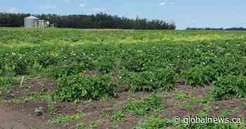 Prairie Gardens outside Edmonton to ‘cease events and certain operations’