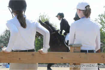 Week three of FEI jumping underway at Langley’s Thunderbird Show Park - Aldergrove Star