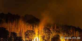 Erlangen-Höchstadt: Feuerwehren bereiten sich auf Waldbrände vor - NN.de