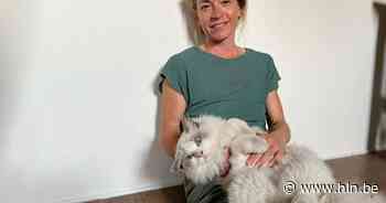 De Poezenboot staakt: “Tot die illegale fokkers hun vergunning wordt ingetrokken - Het Laatste Nieuws