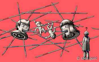 Gent brengt steden en gemeenten samen voor aanpak intrafamiliaal geweld - Gent