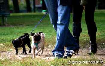 RIVALTA - Nasce l'area di sgambamento cani a Gerbole, nel giardino Coppi-Bartali - TorinoSud