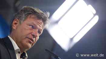 Habeck kündigt Änderungen bei der Gasumlage an – und sucht die Schuld bei Anderen