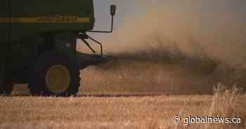Saskatchewan producers see significant improvement in harvest conditions