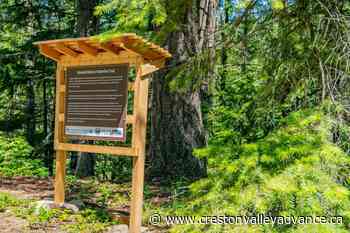 History and hiking combine: Riondel Historic Waterline Trail restored - Creston Valley Advance