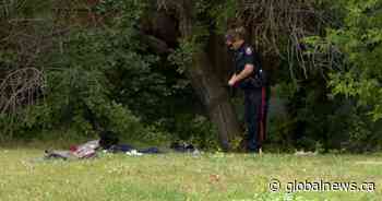 Calgary police investigating apparent assault in Mount Pleasant