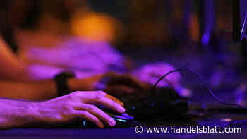 Zugriff auf private Daten im neuen Online-Handelsregister: Wirtschaft fordert Abschaltung - Handelsblatt