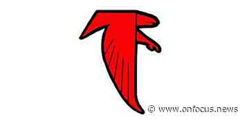 Abbotsford Falcons Volleyball Season Preview - OnFocus