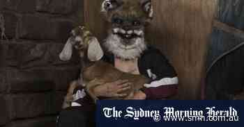 Abbotsford Convent is about to get ‘suitably spooky’ in the dark - Sydney Morning Herald