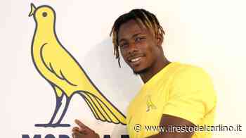 Modena Fc, la promessa di Abdoul Razack Guiebre: "Farò volare i gialloblu" - il Resto del Carlino