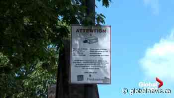 Fredericton putting cameras in downtown core - Global News