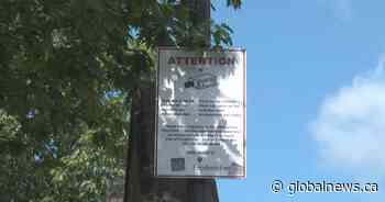 Cameras planned for downtown Fredericton to increase safety - Global News