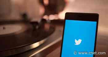 Check These Essential Twitter Privacy and Security Settings     - CNET