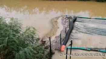 Moria di pesci nel padule di Fucecchio, il Comune fa chiarezza - IlCuoioInDiretta - IlCuoioInDiretta