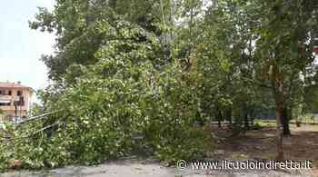 Tegole e rami sui veicoli parcheggiati, disagi a San Pierino e Fucecchio - IlCuoioInDiretta - IlCuoioInDiretta