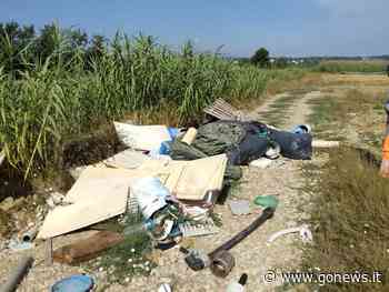 Mezza tonnellata di rifiuti rimossa nel Padule di Fucecchio - gonews