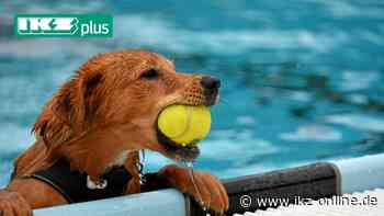 Iserlohn: Hundeschwimmen am 4. und 11. September im Heidebad - IKZ News
