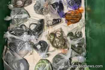 California man pleads guilty to smuggling 1700 animals - Barrhead News