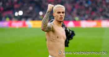 Schreuder (ex-Club Brugge) vreest vertrek: 'Begrijp dat Antony graag wil' - VoetbalPrimeur.be