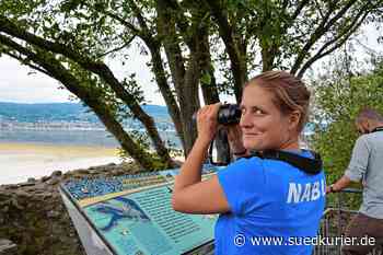 Konstanz/Reichenau: Regen rettet die Wasservögel nur kurzzeitig. Sie finden im Wollmatinger Ried kaum noch Rückzugsorte - SÜDKURIER Online