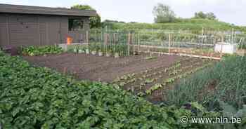 Oproep: Wie wil een volkstuintje in Kortemark of Handzame? - Het Laatste Nieuws
