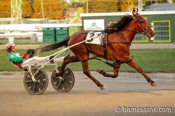 One dash for $110100 NYSS at Vernon - Harnesslink