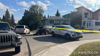 Calgary police on scene after body found near Banff Trail intersection