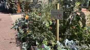 Grand Lyon: 68 panneaux pour lutter contre les incivilités à Dardilly - BFMTV