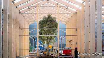 Siegen: Warum die Kritik am Naturgarten-Center bei Ikea? - WP News