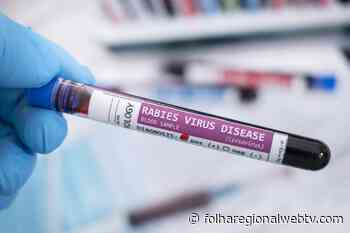 Capivari de Baixo intensifica ações preventivas contra casos de raiva - Folha Regional WEb TV