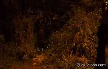 Mulher é resgatada de cárcere privado em mata de Capivari e suspeito é preso - Globo