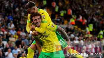 Norwich City: Chris Sutton's column on Canaries' progress - PinkUn