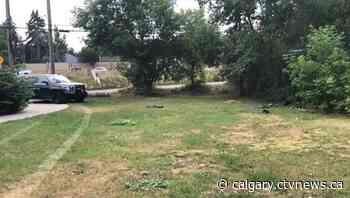 Suspects beat victim in northwest Calgary park, police say | CTV News - CTV News Calgary