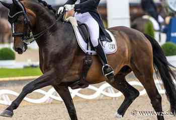 Krefeld: Dressur: Helen Erbe holt EM-Gold​ - Westdeutsche Zeitung