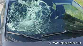 Travolto da un'auto, ciclista sfonda il parabrezza. A Parma in gravi condizioni - piacenzasera.it - piacenzasera.it