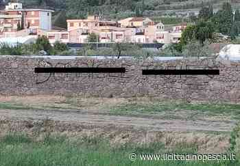 Palio sotto attacco dei vandali. “Gesto riprovevole, da condannare” - Il Cittadino Pescia
