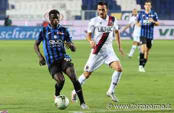 Colley, idea Parma - Forza Parma