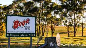 Bega Cheese's revenue grows to $3b but profits decline 69 per cent