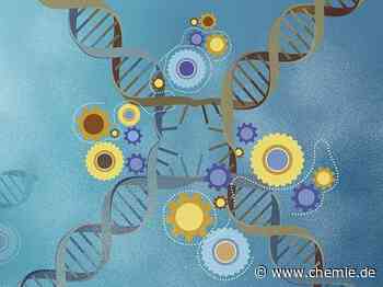 Wie molekulare Motoren chemische Energie für mechanische Arbeit nutzen