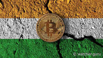 Cryptocurrency Can Create Financial Instability in India: RBI Governor - Watcher Guru