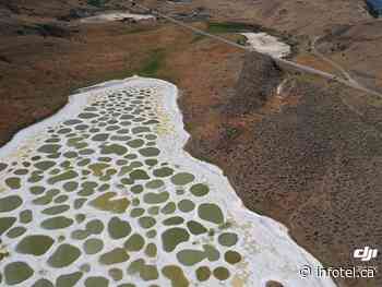 iN PHOTOS: Gorgeous shots taken of Spotted Lake near Osoyoos | iNFOnews | Thompson-Okanagan's News Source - iNFOnews