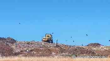 The town turning its trash into treasure as it powers towards a greener future